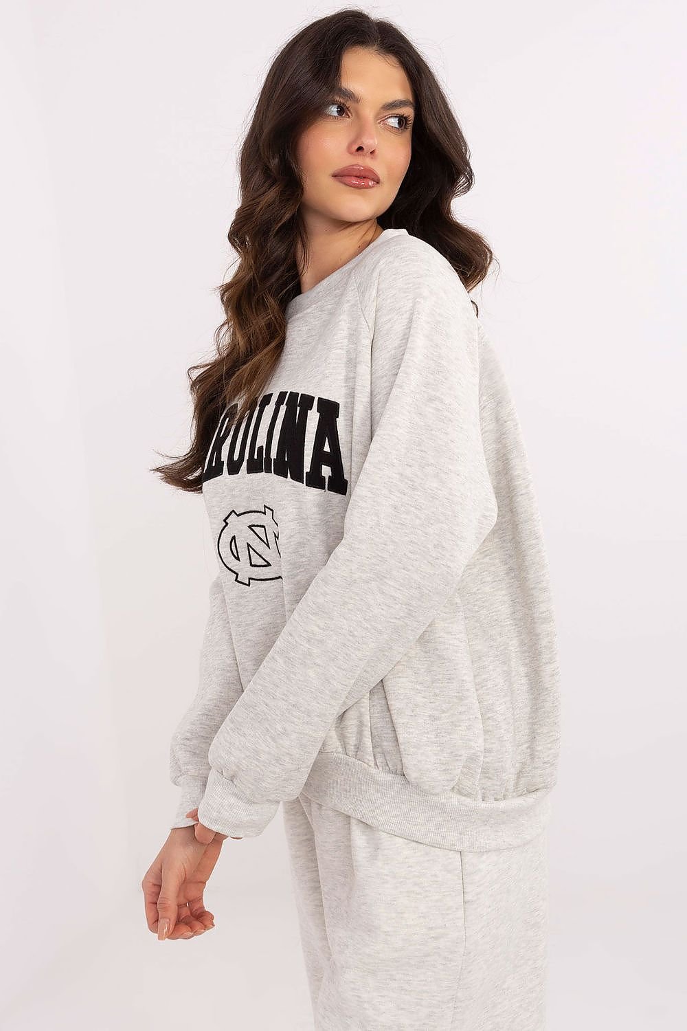 Sweatshirt model 206362 Factory Price